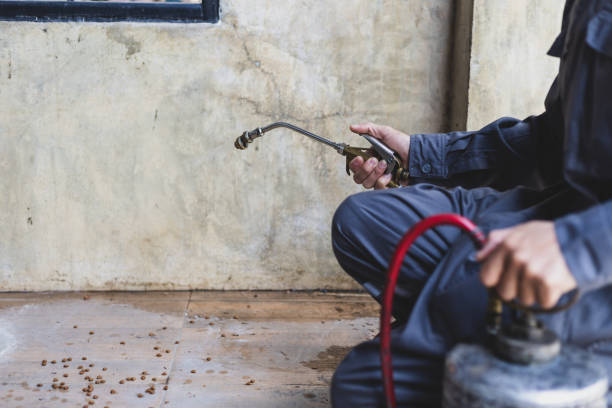 Best Exterminator Services  in Ller, WA